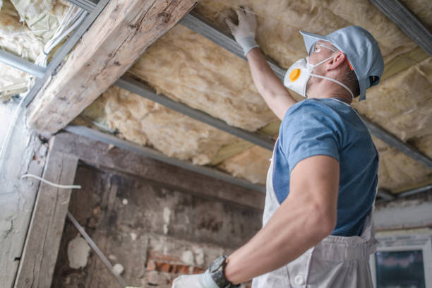 Best Spray Foam Insulation in Russellville, AR