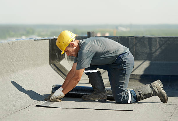 Best Geographic-Specific Insulation Services in Russellville, AR